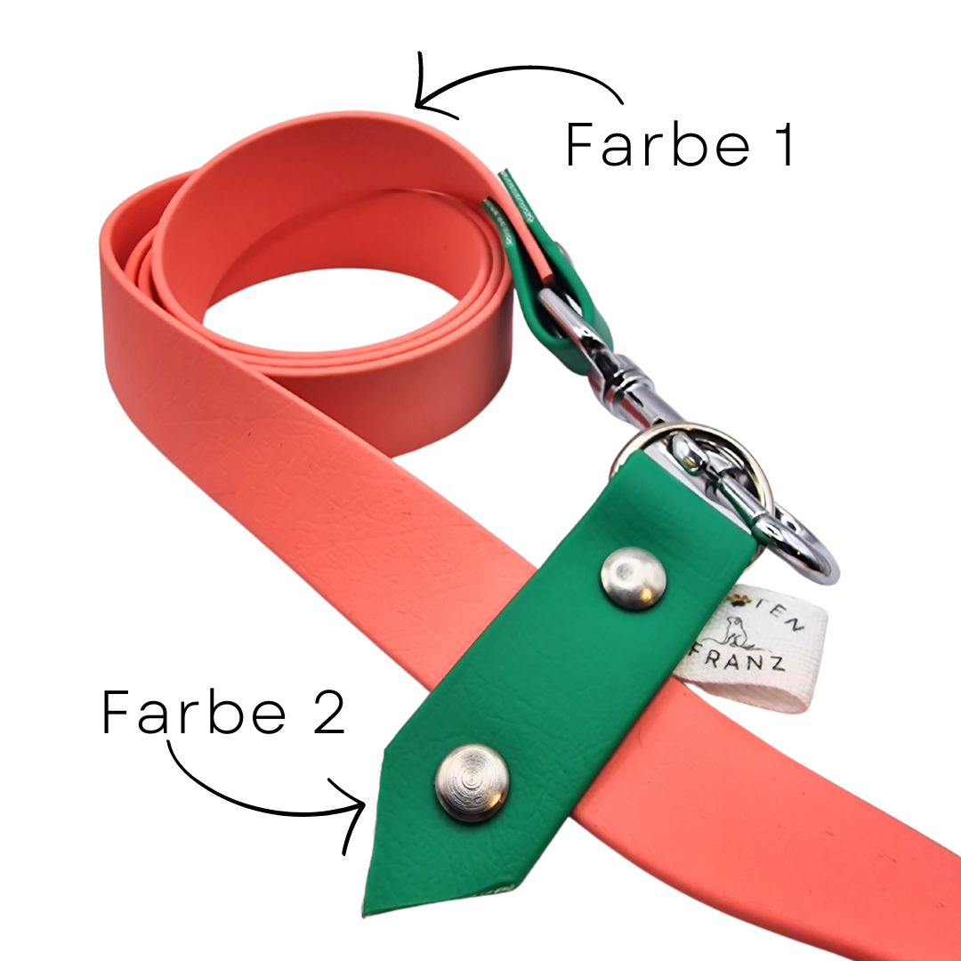 Hands-free Hundeleine Set aus Biothane, 19mm breit - Farben wählbar