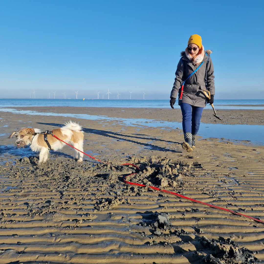 Frau mit Umhängeleine und Hund mit Schleppleine am Strand